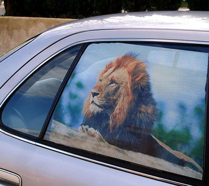 How to Choose Between One-Way Vision Film and Frosted Window Film for Commercial Glass